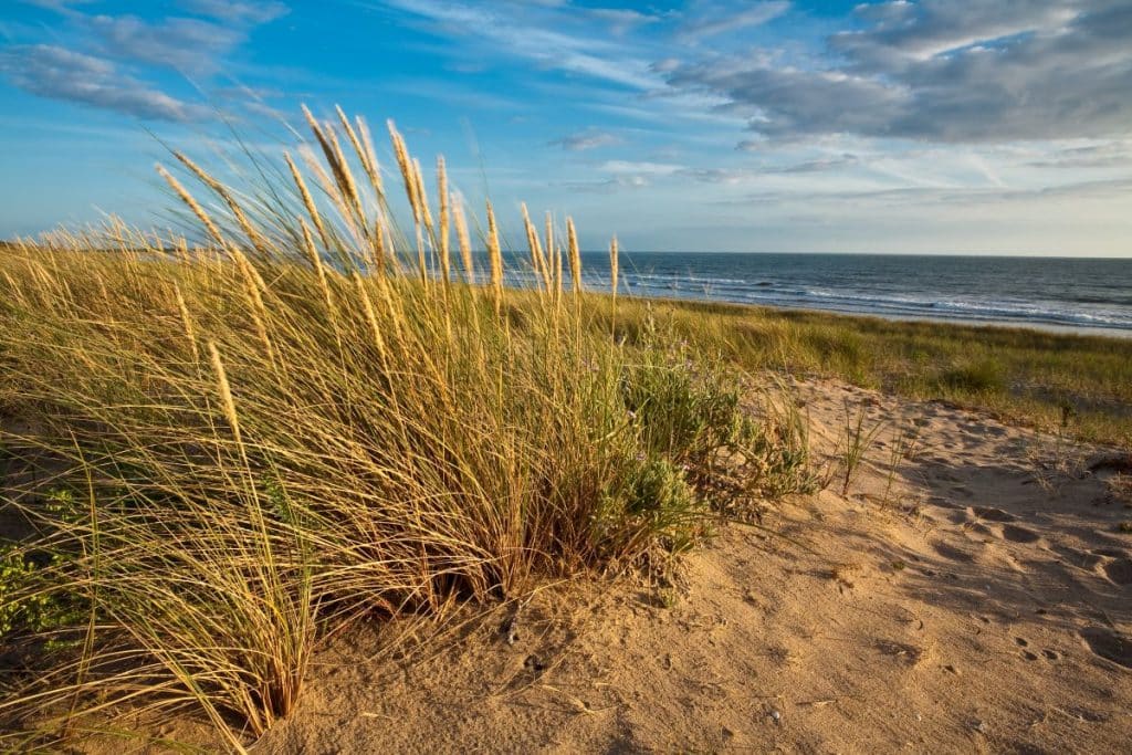 plage la barre de monts