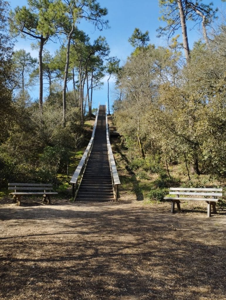 belvédère la barre de monts